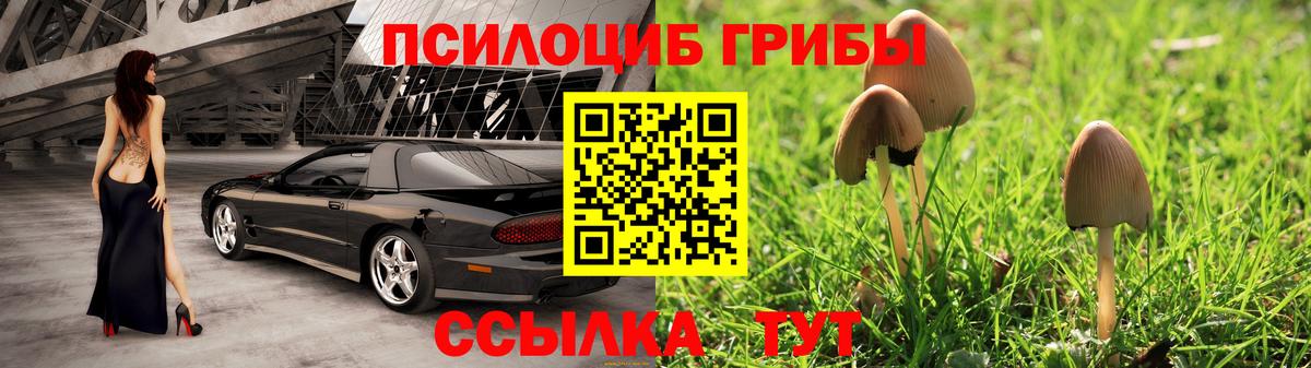 закладка  Вход с VPN  Псилоцибиновые грибы прущие грибы  Дивногорск  Псилоцибиновые грибы мухоморы 